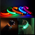 LED Pet Safety Collar for Night Walks