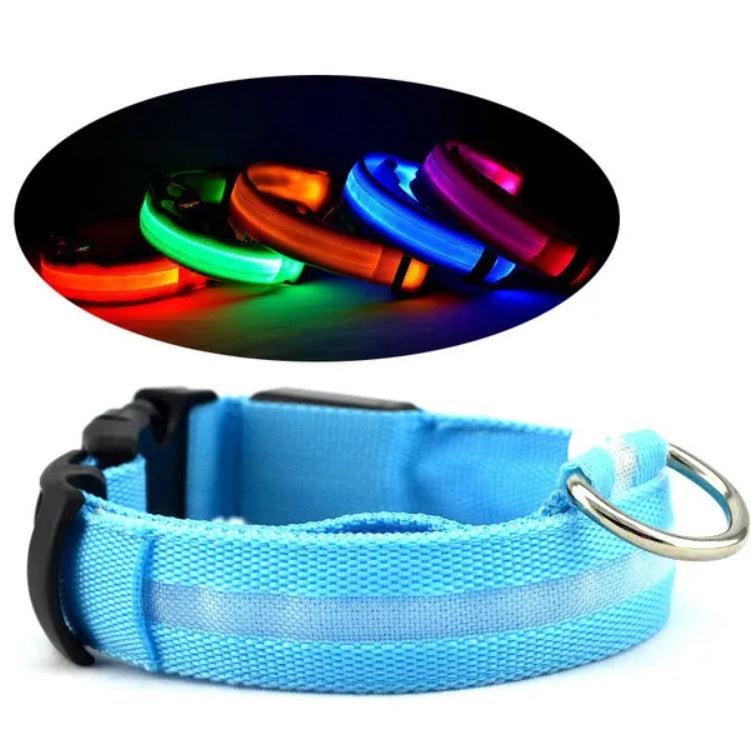 LED Pet Safety Collar for Night Walks