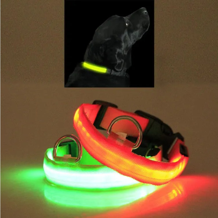 LED Pet Safety Collar for Night Walks