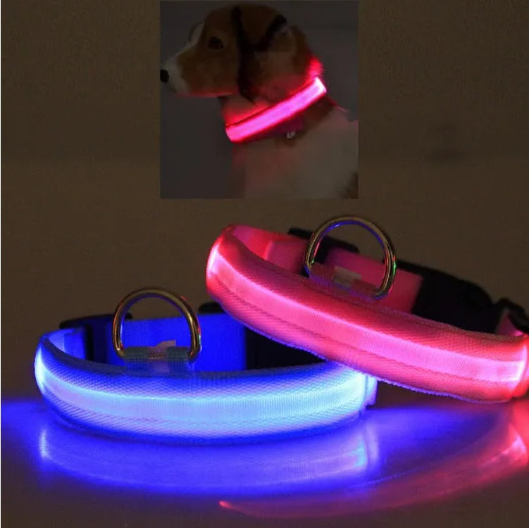 LED Pet Safety Collar for Night Walks