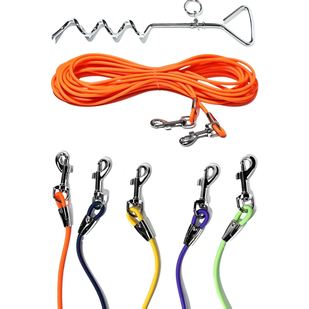 Outdoor Dog Tie-Out Leash with Ground Stake