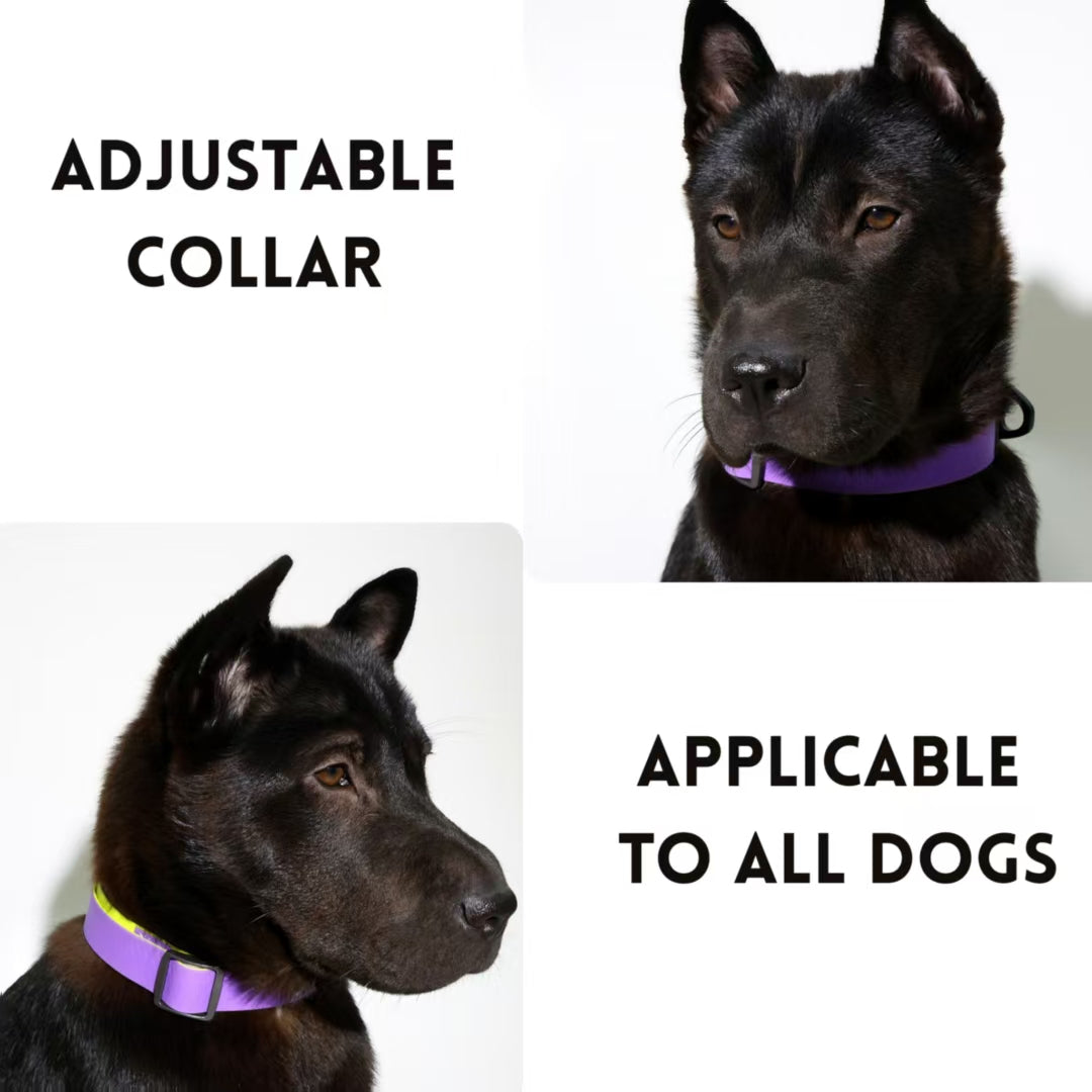 Premium Waterproof Honeycomb Grip Dog Leash