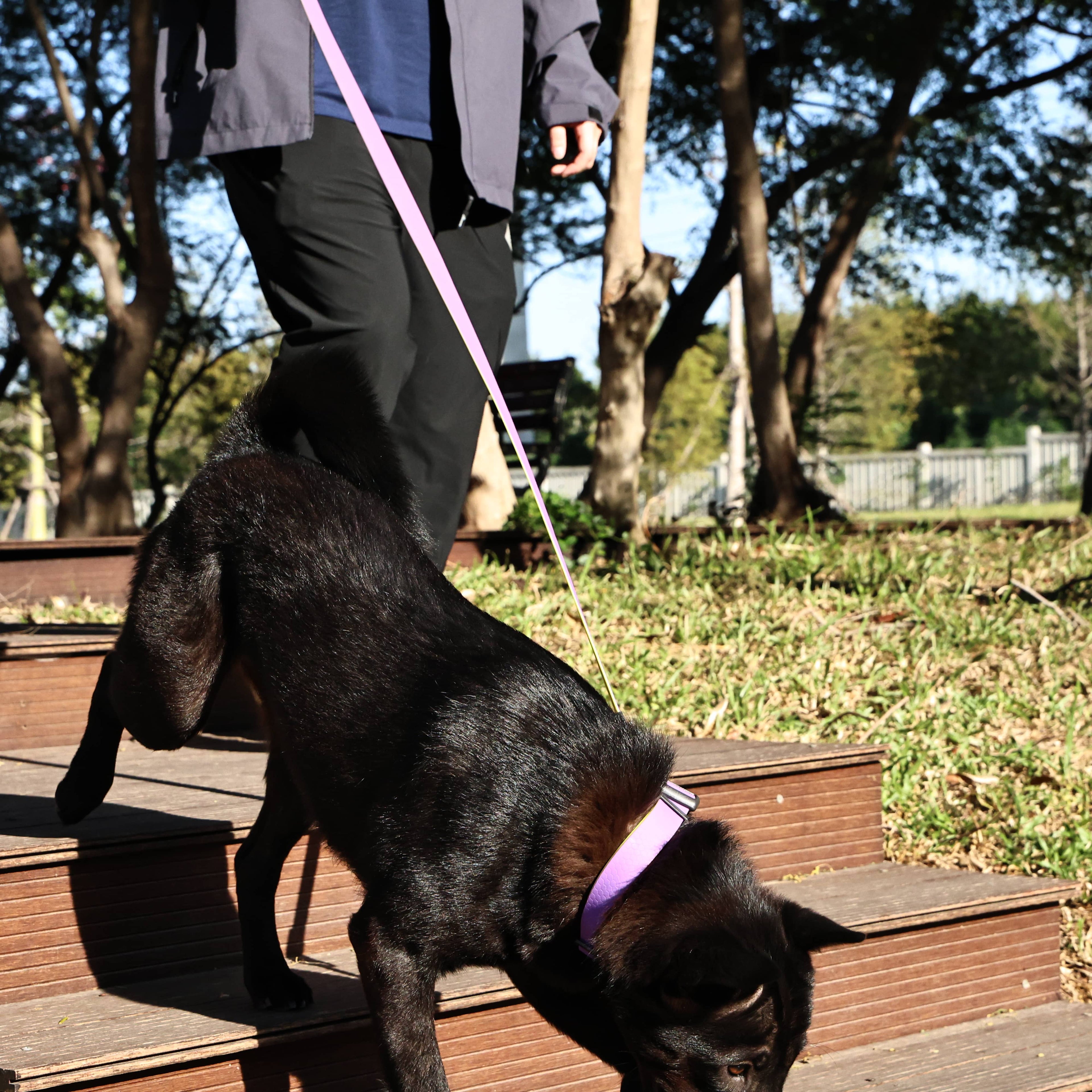 Premium Waterproof Honeycomb Grip Dog Leash