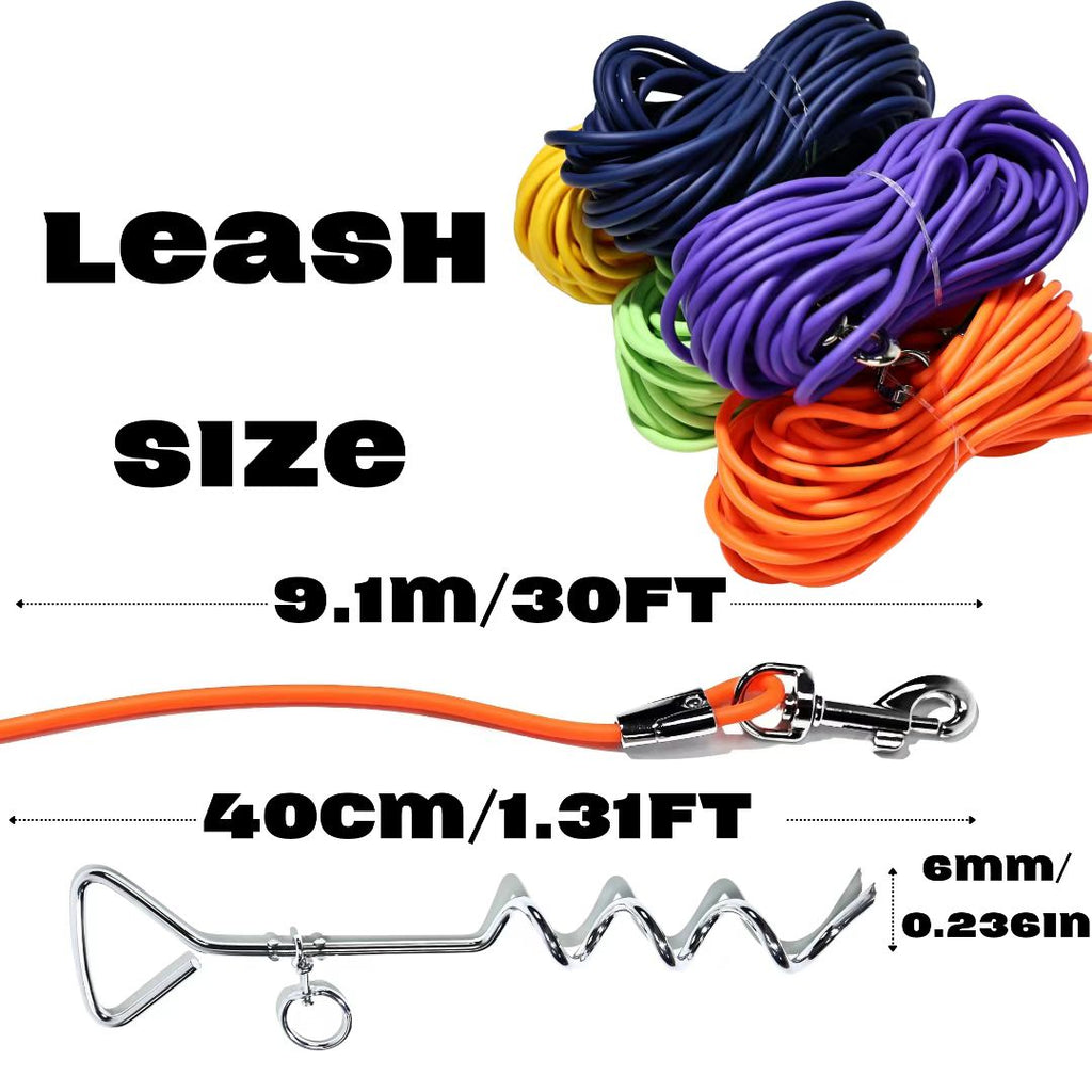 Outdoor Dog Tie-Out Leash with Ground Stake