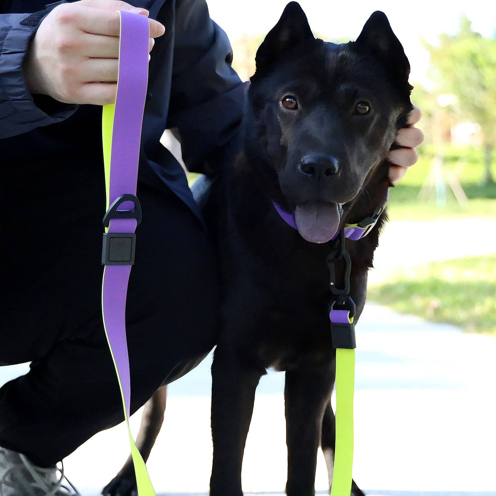Premium Waterproof Honeycomb Grip Dog Leash