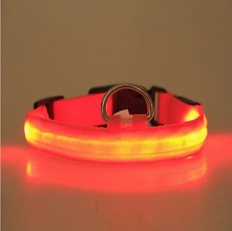 LED Pet Safety Collar for Night Walks