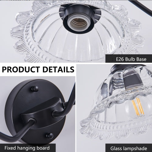 2-Light Bathroom Vanity Wall Light – Black & Glass