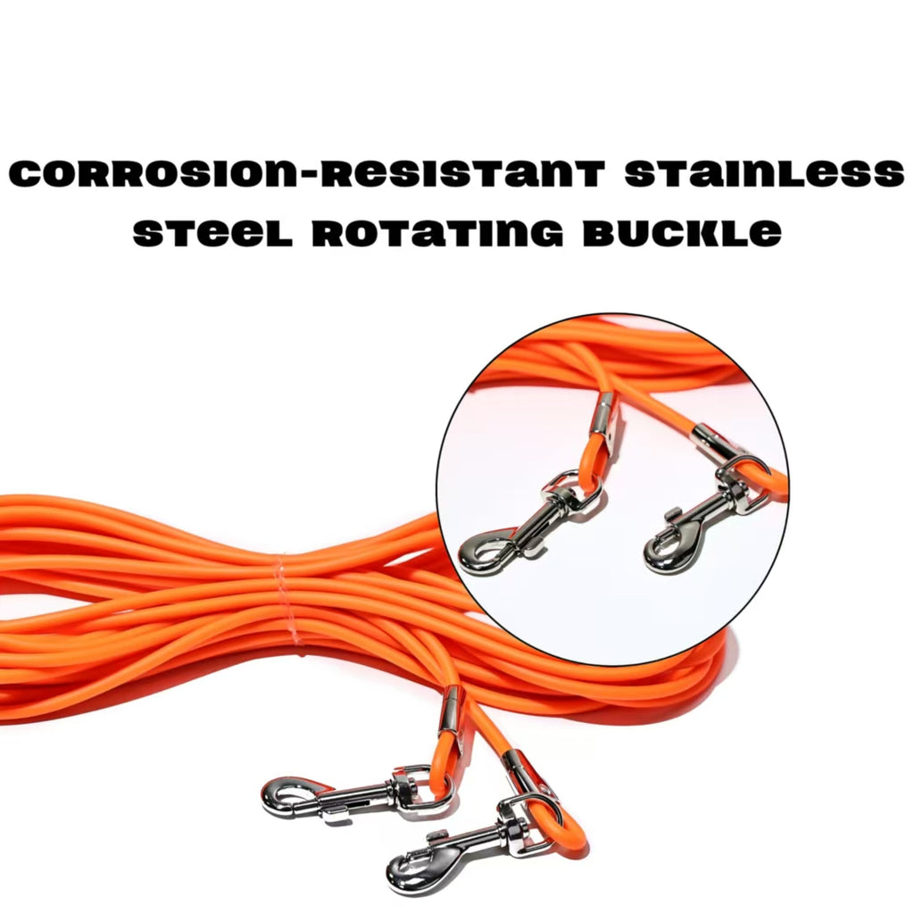 Outdoor Dog Tie-Out Leash with Ground Stake