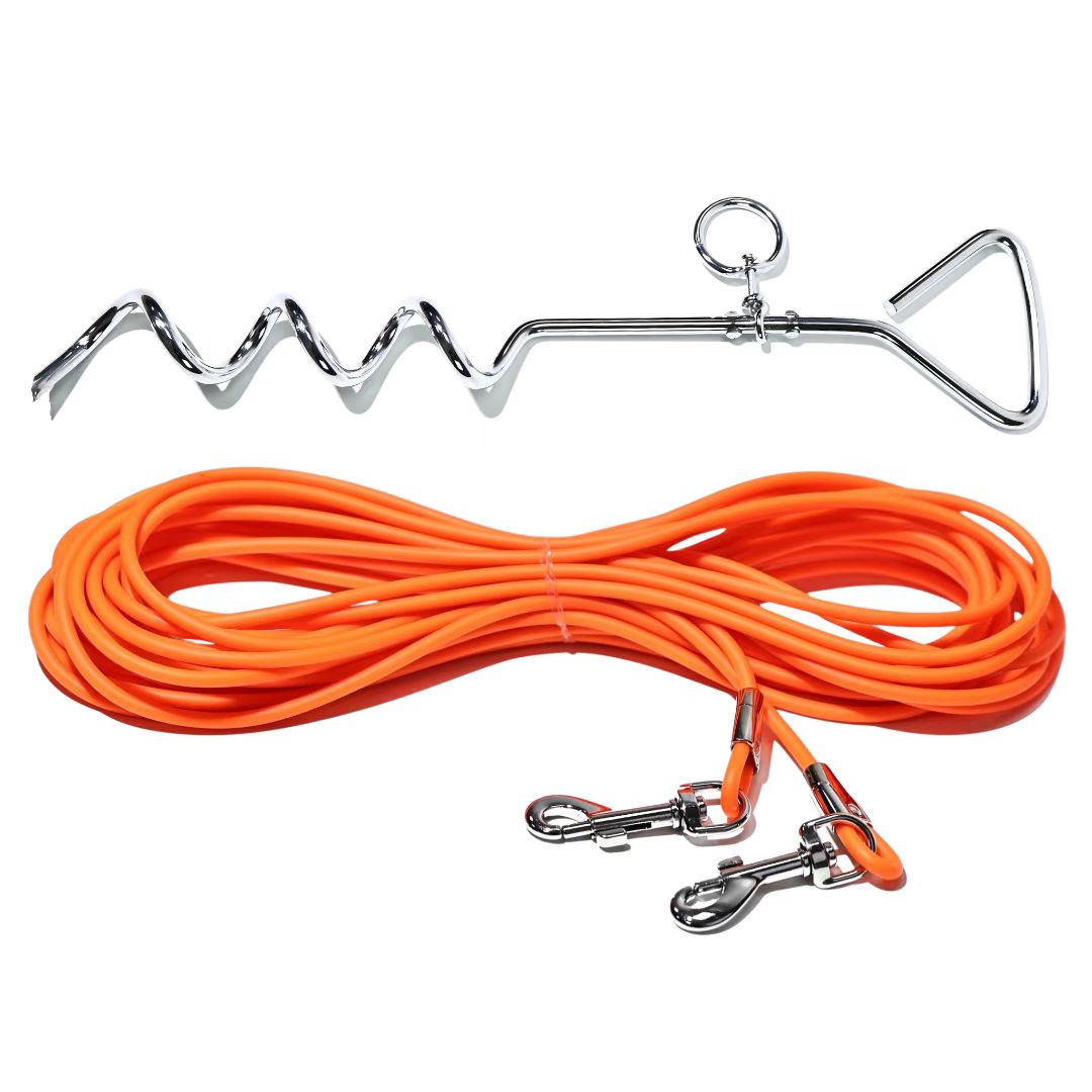Outdoor Dog Tie-Out Leash with Ground Stake